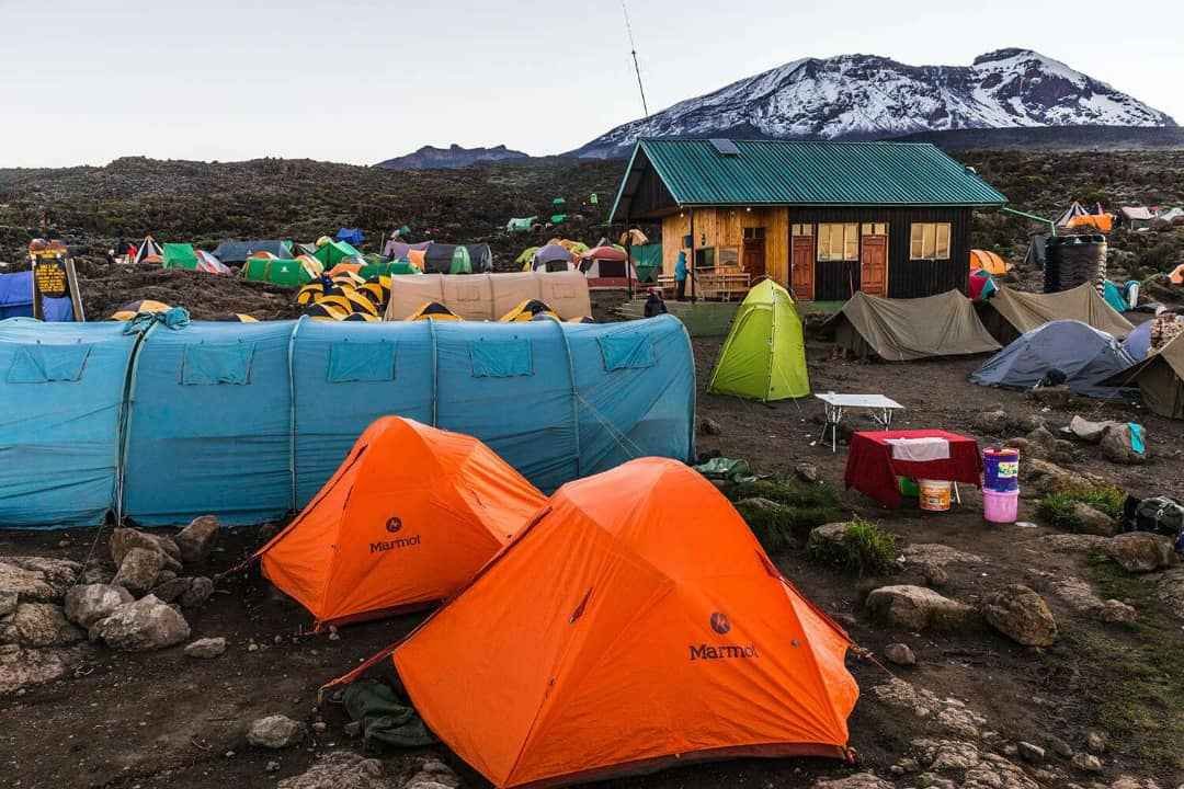 rongai kilimanjaro