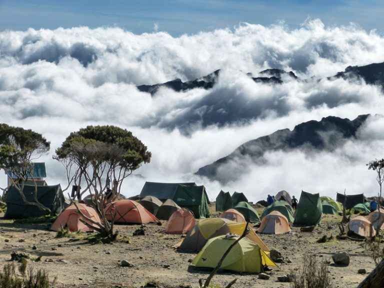 kilimanjaro