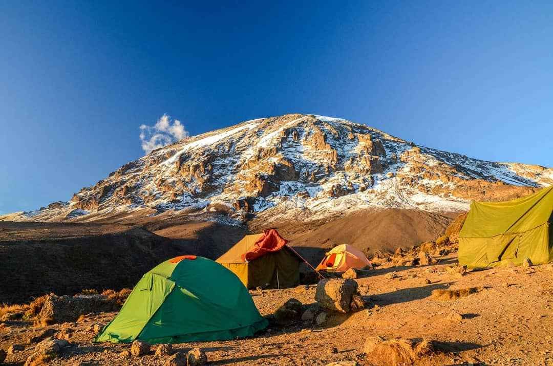 kilimanjaro